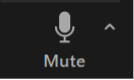 Udsnit af skærmbillede med Zoom knappen Mute. Det betyder, at din lyd er slået til.