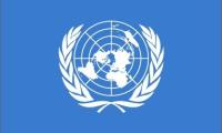 FN's officielle logo viser en jordklode centreret om Nordpolen og omsluttet af oliventræsgrene